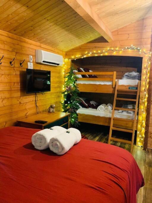 Honeybear Hideaway Cabin Хейуърд Екстериор снимка