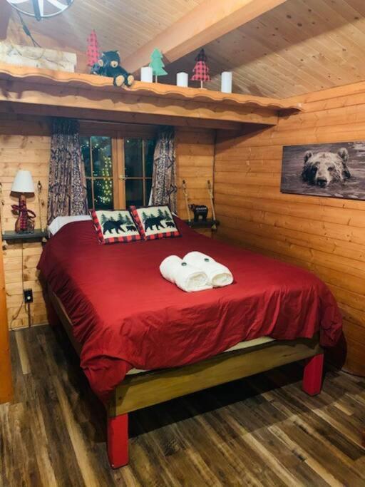 Honeybear Hideaway Cabin Хейуърд Екстериор снимка