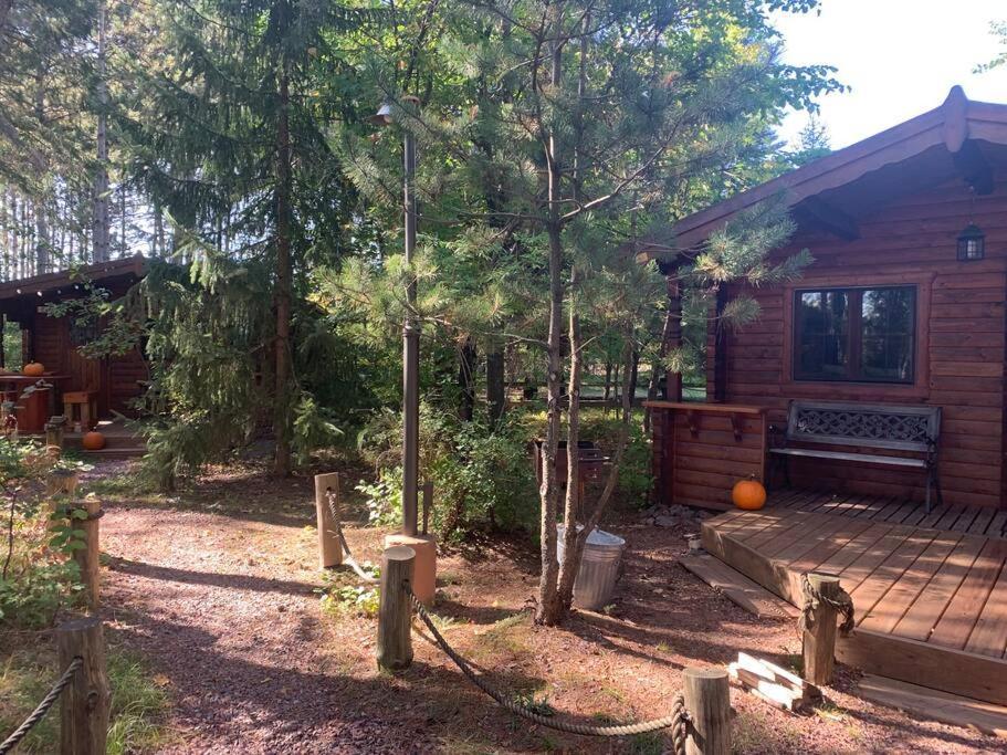 Honeybear Hideaway Cabin Хейуърд Екстериор снимка