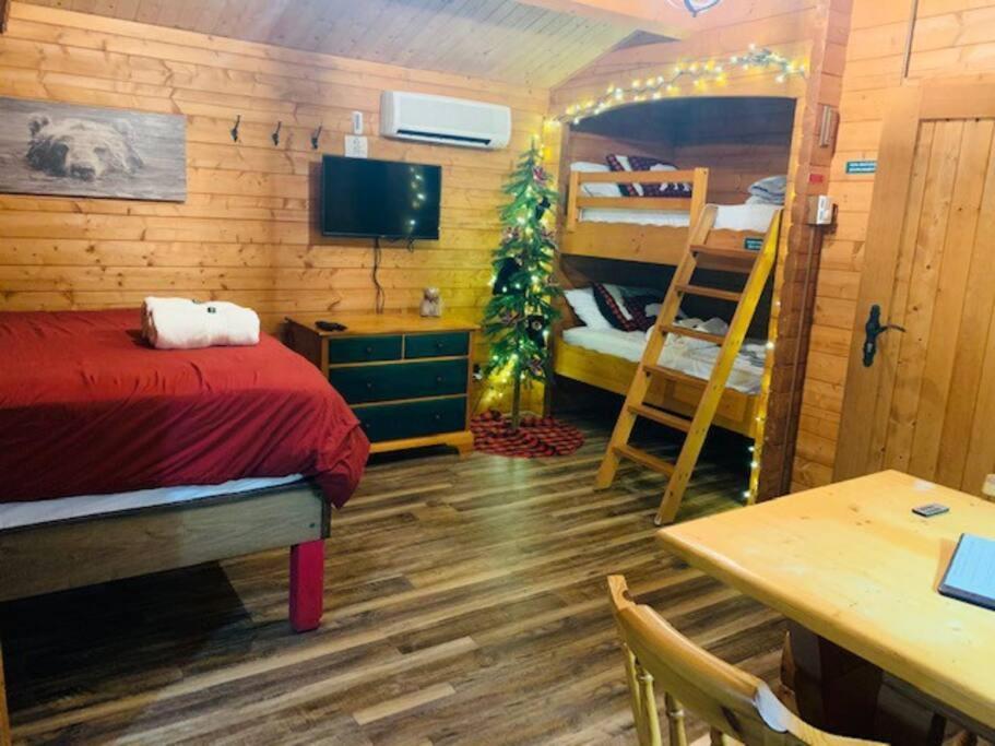 Honeybear Hideaway Cabin Хейуърд Екстериор снимка