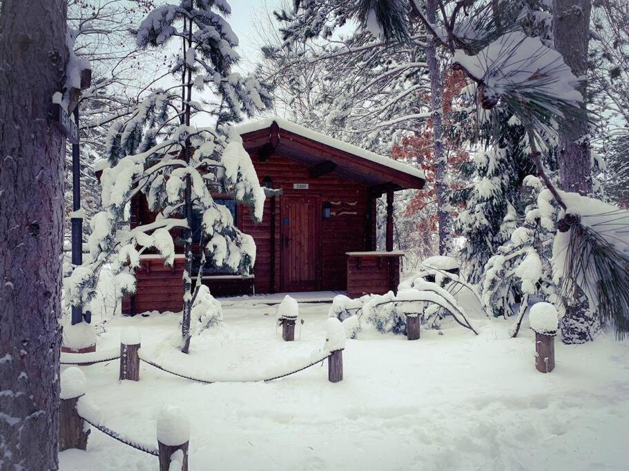 Honeybear Hideaway Cabin Хейуърд Екстериор снимка