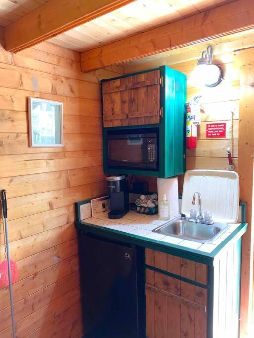 Honeybear Hideaway Cabin Хейуърд Екстериор снимка