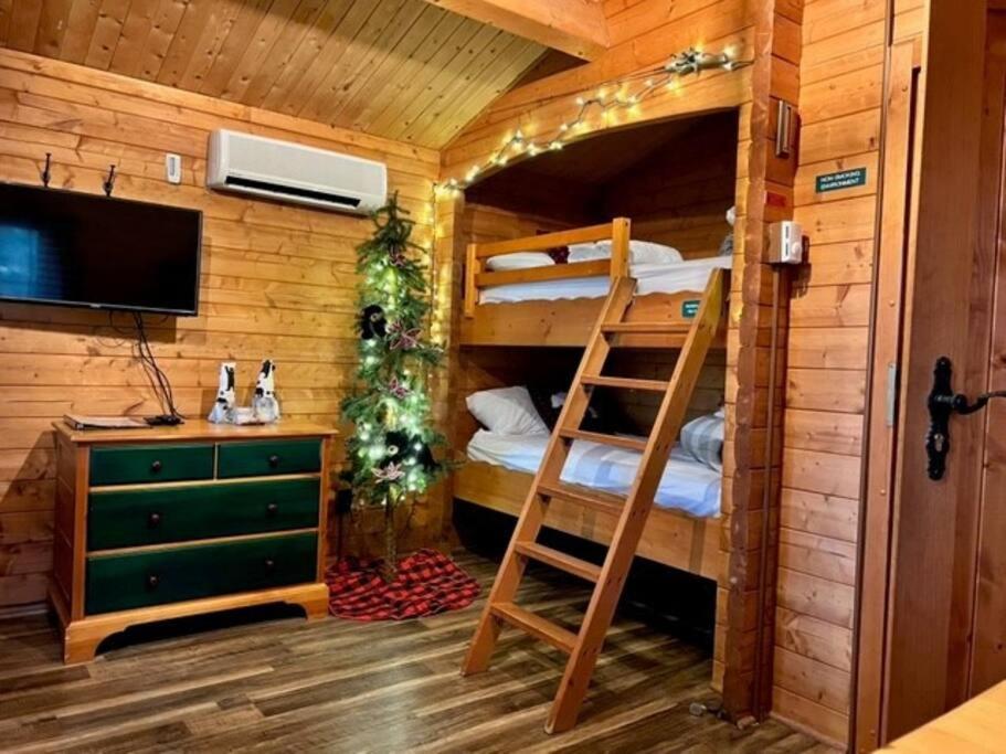 Honeybear Hideaway Cabin Хейуърд Екстериор снимка